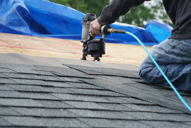 Best Roof Maintenance Services  in Teague, TX